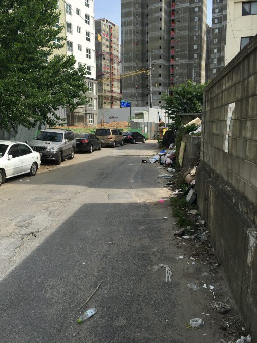 벚꽃요정 프로필