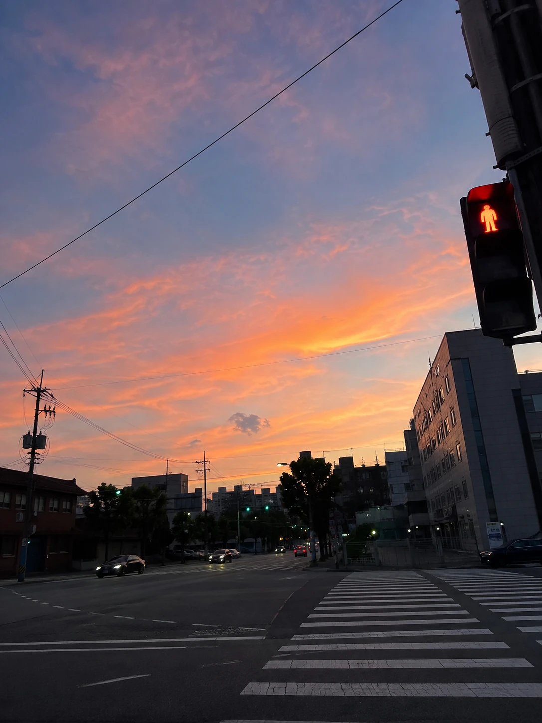 sky-evening.png