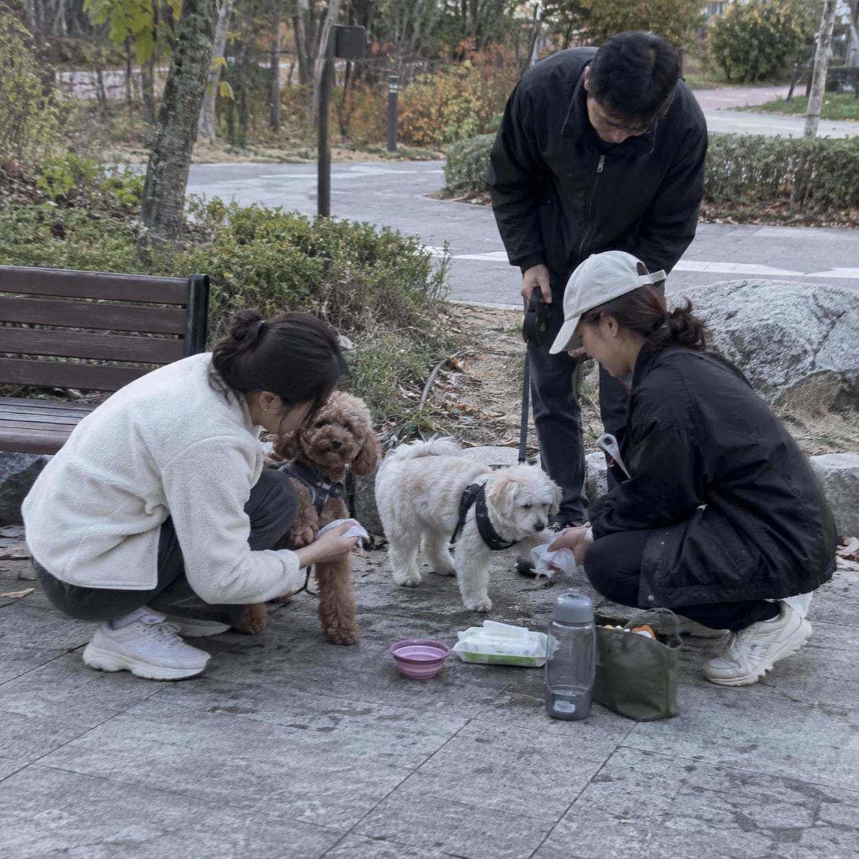 산책 후 발 닦는 방법 서로 배우기 모임 대표 이미지