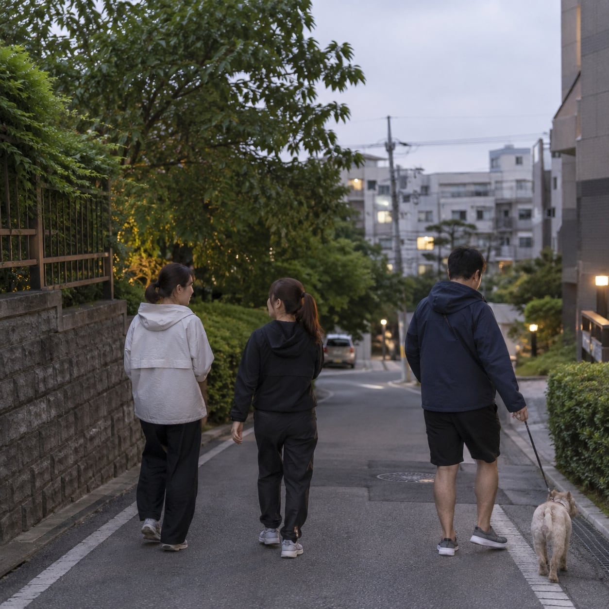 요일 정하지 않은 저녁 산책 친구 모임 대표 이미지