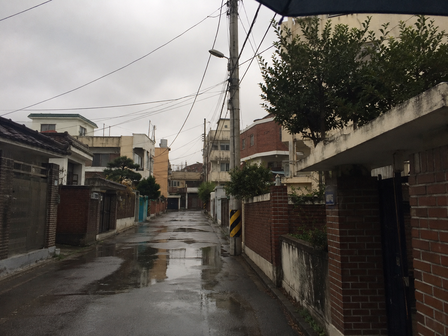 일상 사진