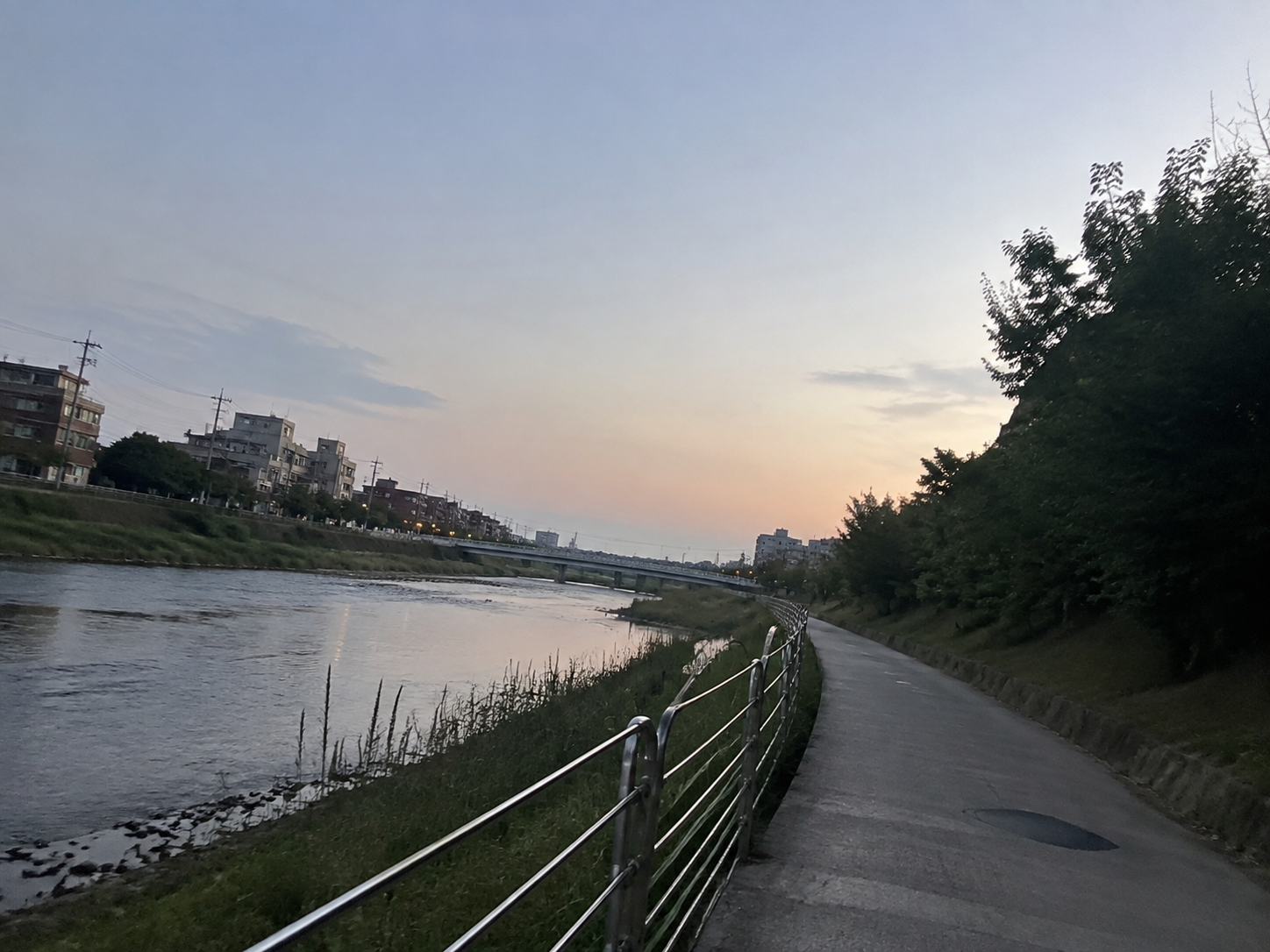 일상 사진