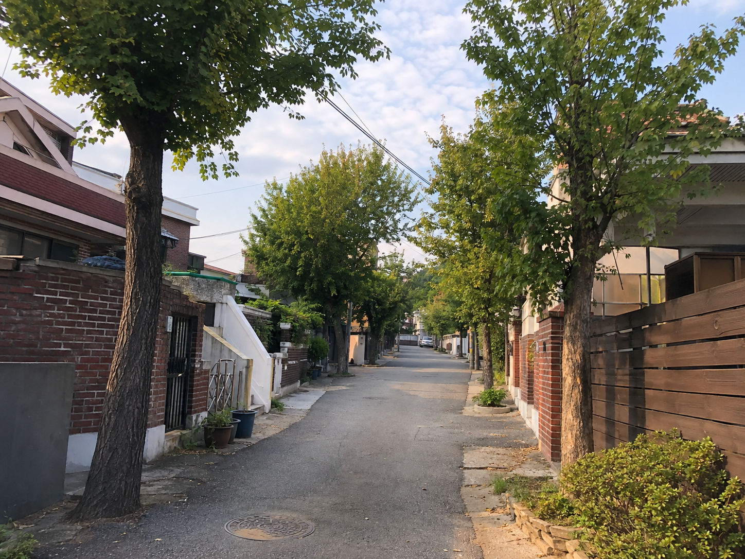 일상 사진