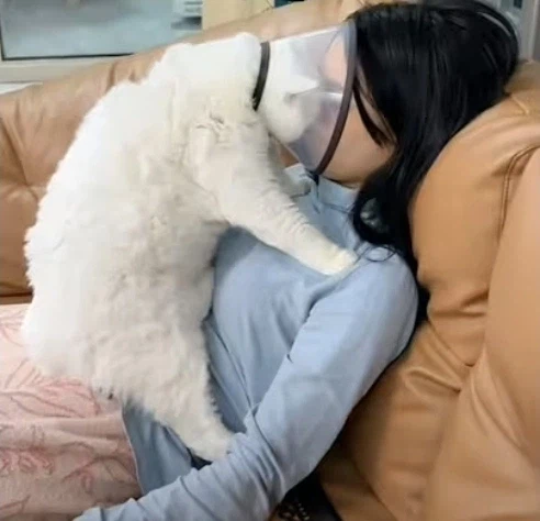 "내 가장 소중한 장기를 없애놓고... 날 위해서였다고?"_1.webp