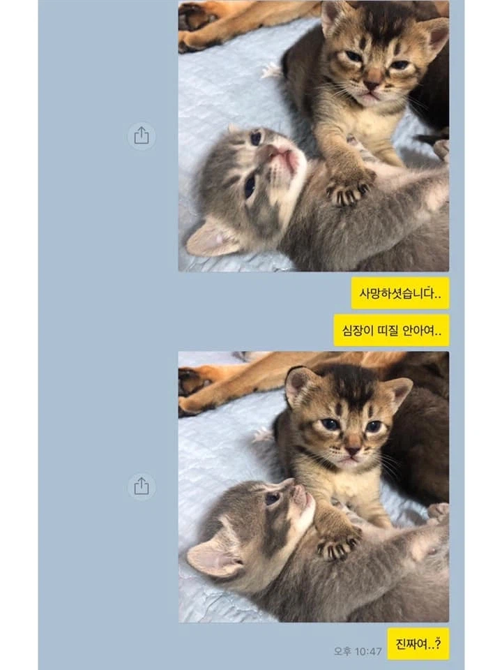기독교도(가톨릭)로서 현대미디어를 볼때마다 가끔 웃긴것 세가지_5.webp