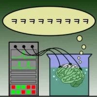 사망자의 뇌를 살려놓는 실험_2.webp