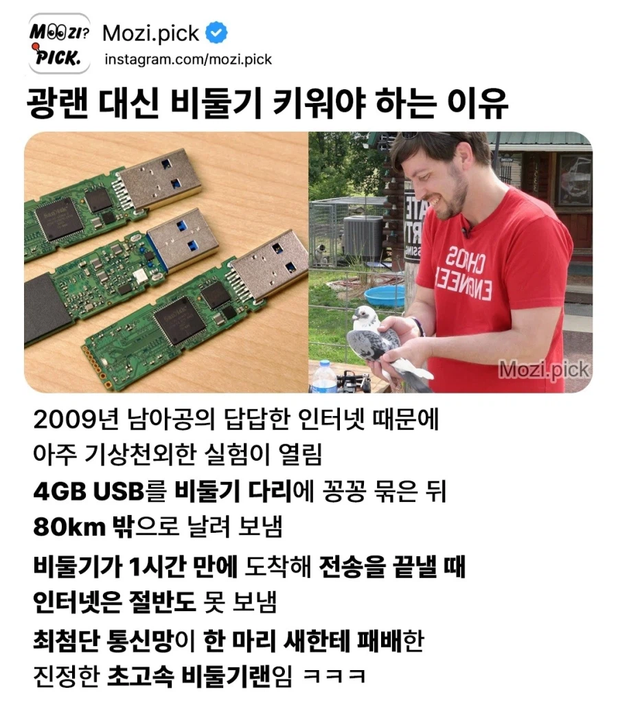 광랜보다 빠른 비둘기_1.webp