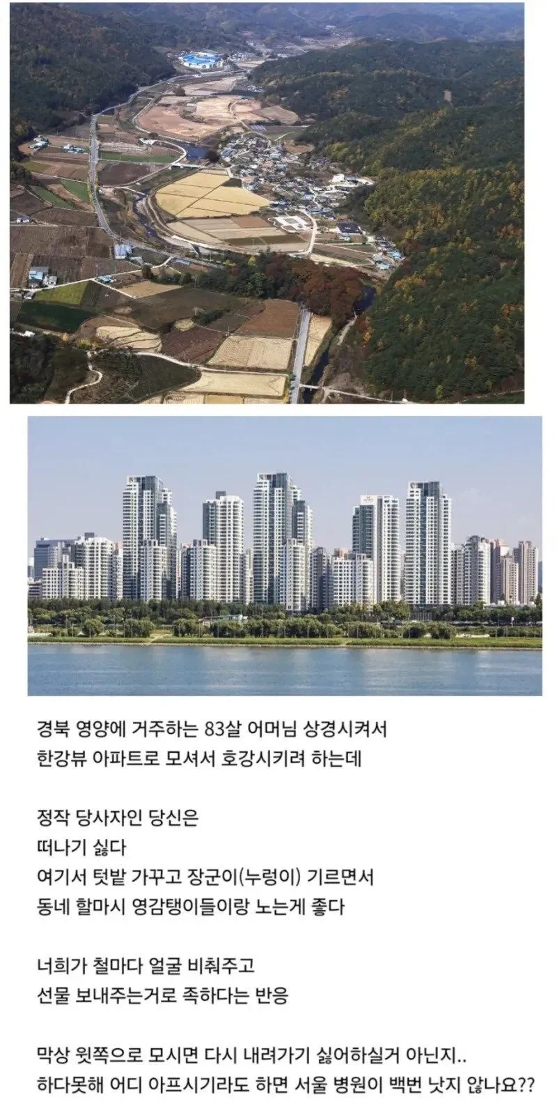 시골 어르신 수십억 한강뷰 아파트로 모시겠다는데 거절.jpg_2.webp