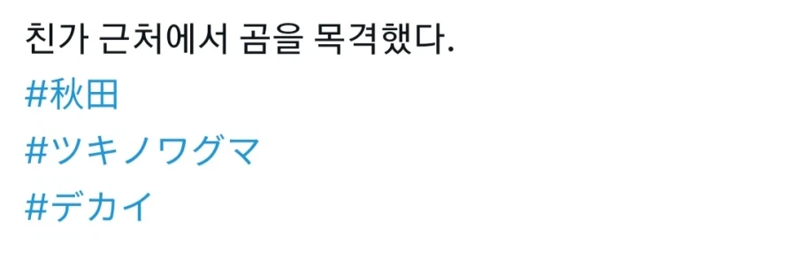 어제 시내 상업시설에 곰이 침입했던 일본 근황_6.webp