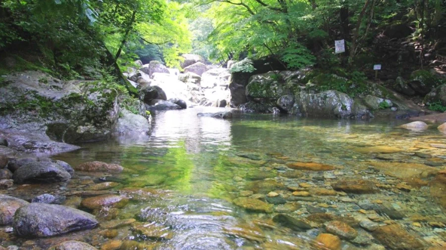 의외로 한국에 많고 중요한 자원_1.webp