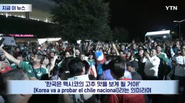 멕시코 "꼬레아는 꼬추나 먹어라"_6.webp