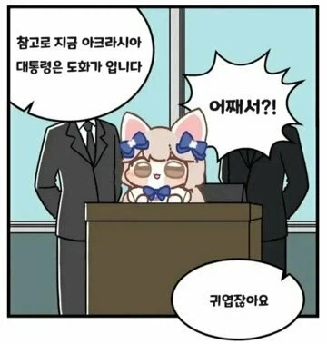 이번 선거 결과는 이미 정해져있었어_1.webp
