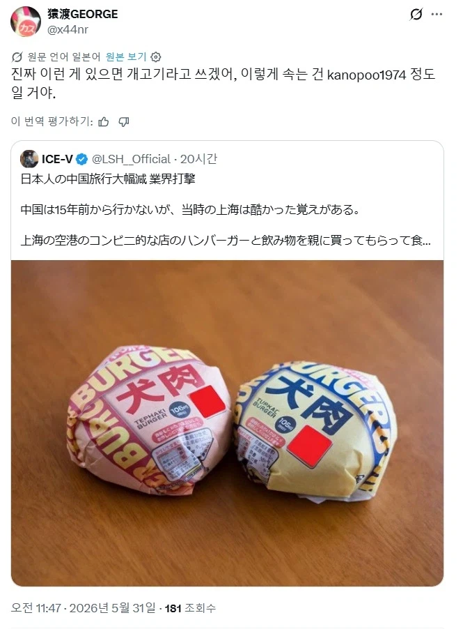 AI사진으로 중국 까려다가 역풍 맞은 일본인_2.webp