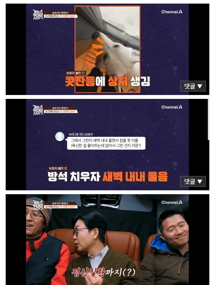 개팔자 상팔자 레전드...jpg_6.webp