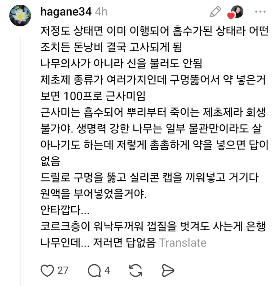 남의집 은행나무 독살시킨 유명 미술관_2.webp