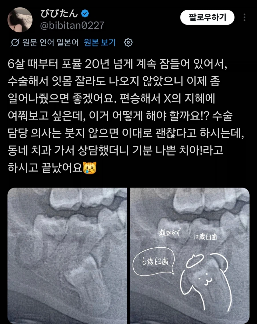 20년 넘게 자고 있는 폼폼푸린_2.webp