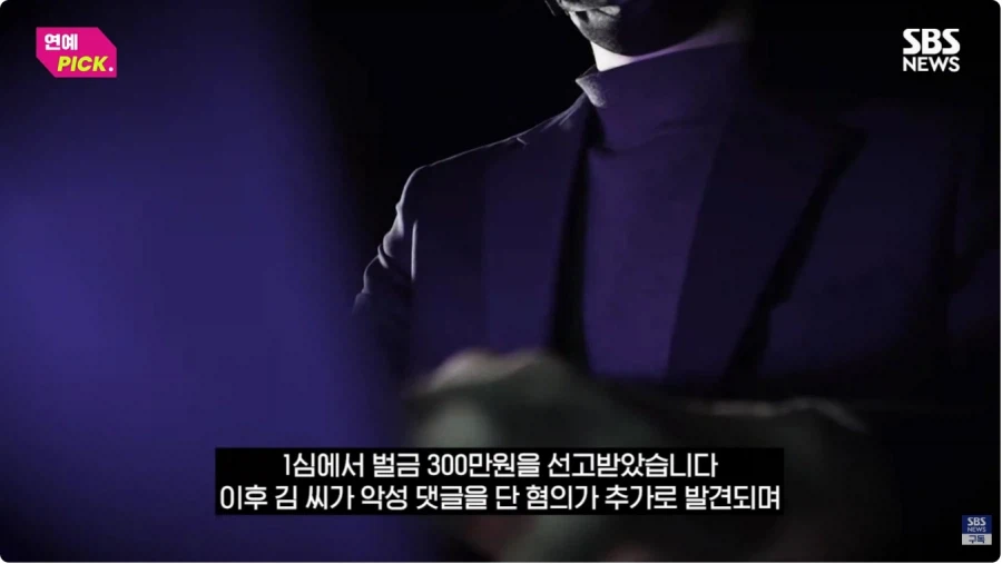 아이유 악플러 징역형_4.webp