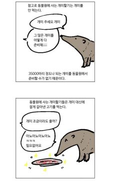 동물원에서는 주식을 못 먹는다는 동물_1.webp