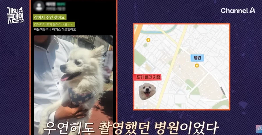 강형욱 나오는 개와 늑대의 시간 진짜 역대급 빌런나오더라_13.webp