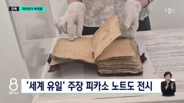 대구 피카소 진품 전시회 근황_3.webp