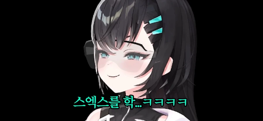 평균연령 30대 여스트리머 합방 수위_16.webp