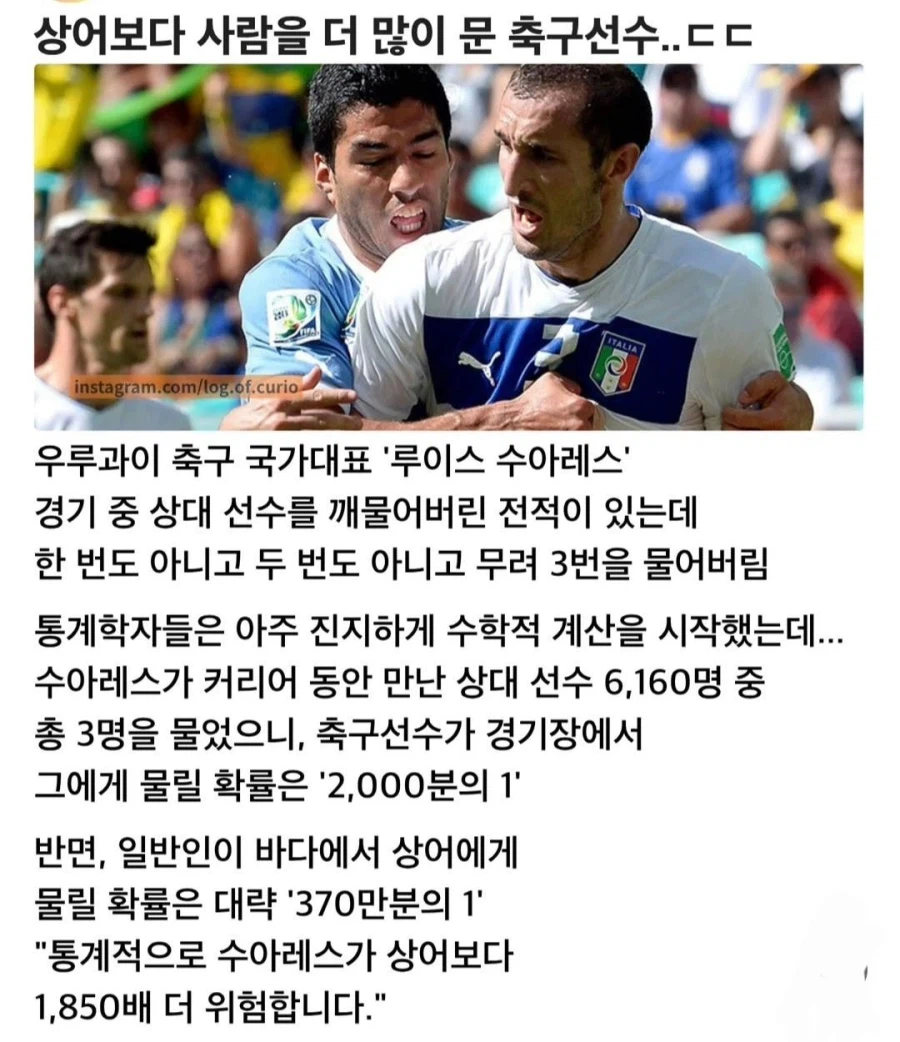 통계상 상어보다 물릴 확률이 높은 생물.jpg_1.webp