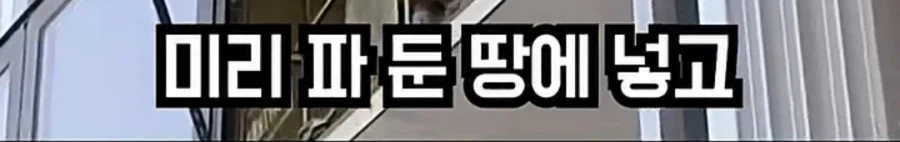 80KG 고기를 시멘트로 묻을 때 주의사항_4.webp