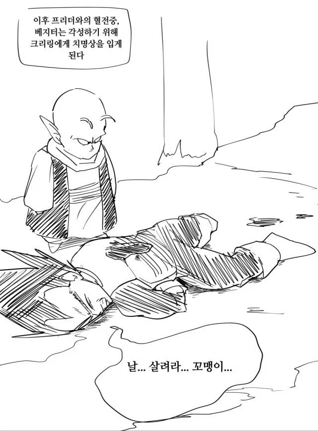 덴데가 베지터를 치료해주지 않았던 이유_1.webp