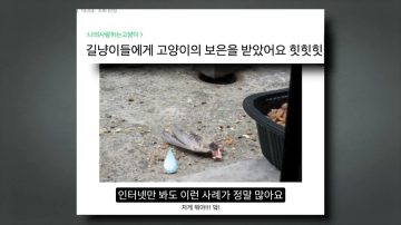 다시 한번 길고양이 문제에 대해 강하게 어필하는 유튜버 (※스압주의)_61.webp