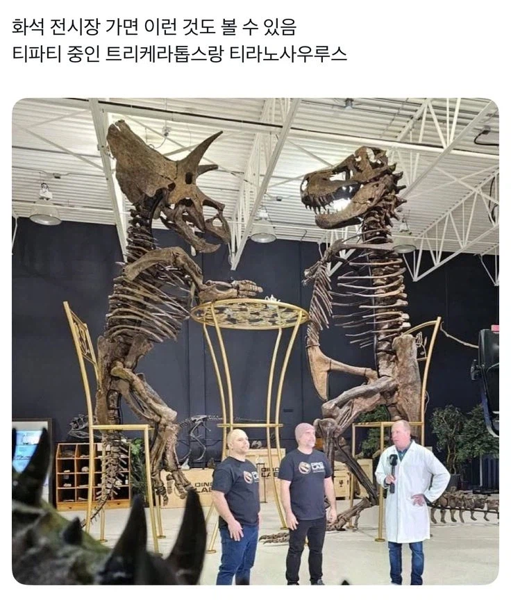 화석 전시장 가면 이런 것도 볼 수 있음_1.webp