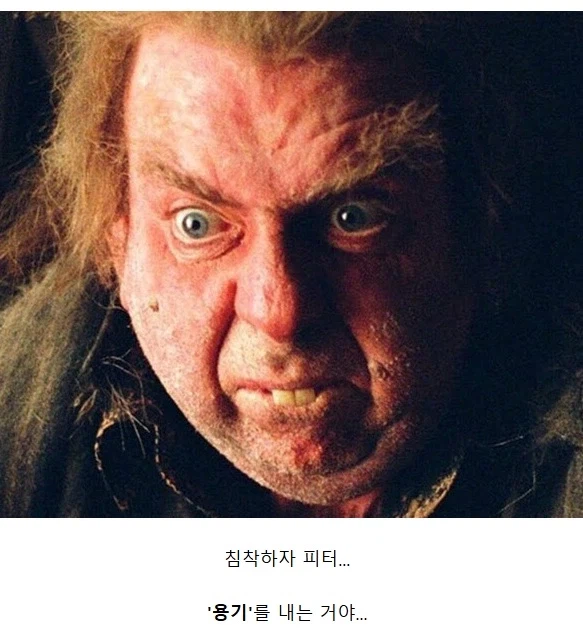 해리포터) 커뮤에서 웜테일에 은근 오해하는 부분_7.webp