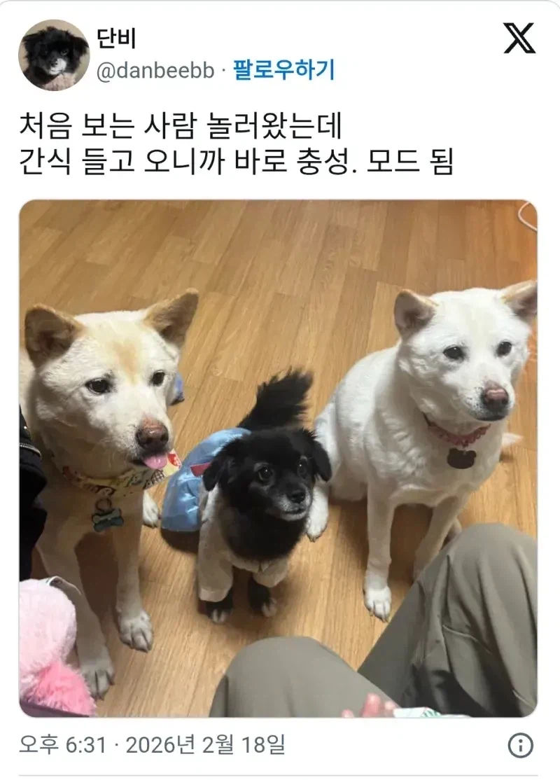 간식을 주는자가 주인이다_1.webp