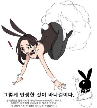 바니걸에 대해 알아보는 만화_3.webp