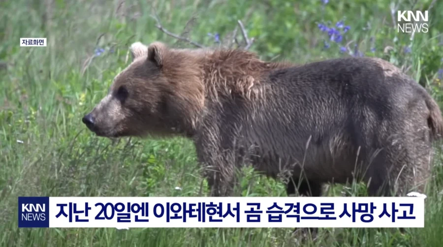그 동안 우려했던 일이 결국 벌어지고 만 도쿄 근황_3.webp