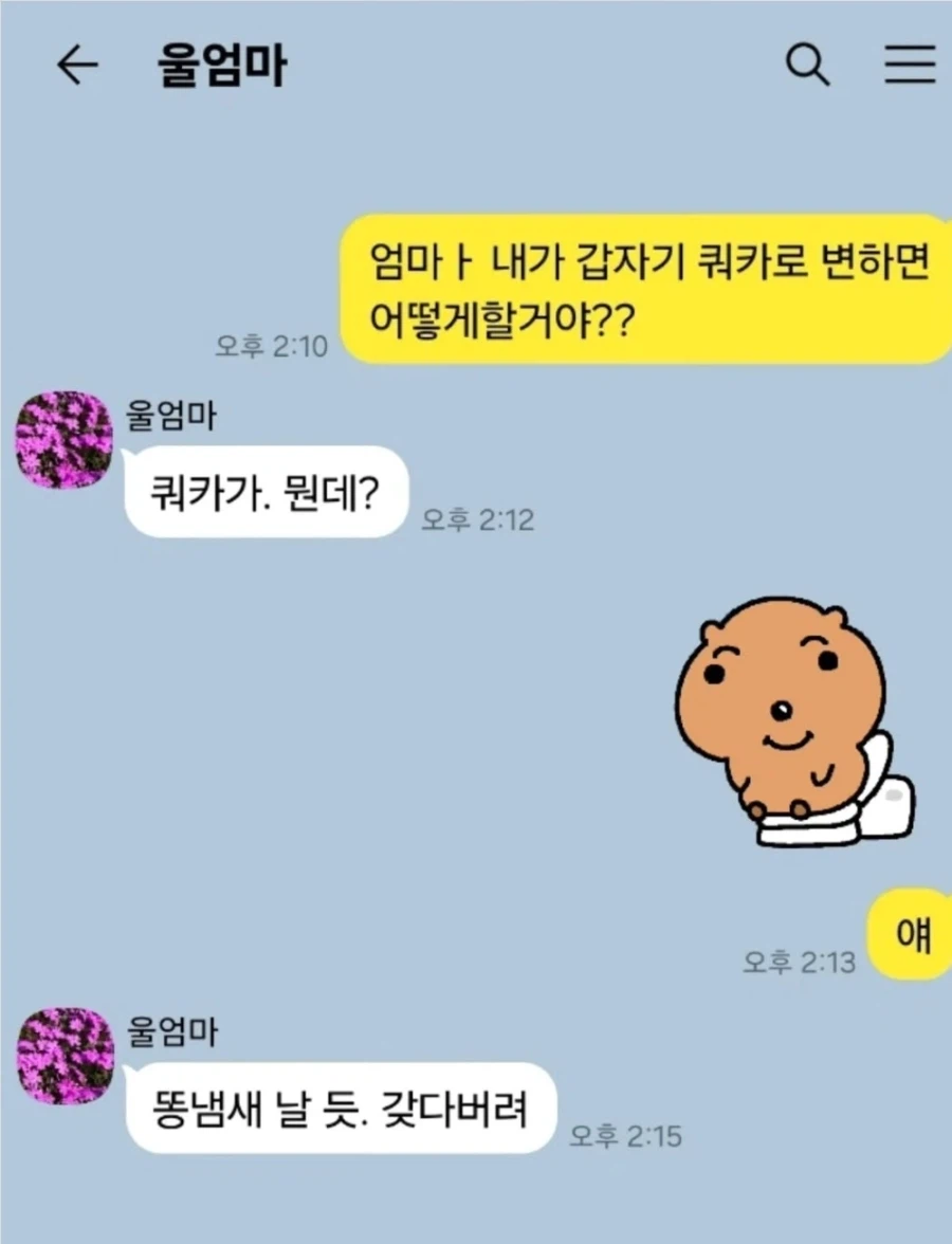 "엄마 내가 갑자기 쿼카가 되면 어떡해?"_1.webp