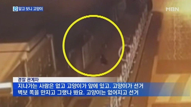 선거벽보 훼손범 처벌불가, 법 밖에 있어서 곤란_2.webp