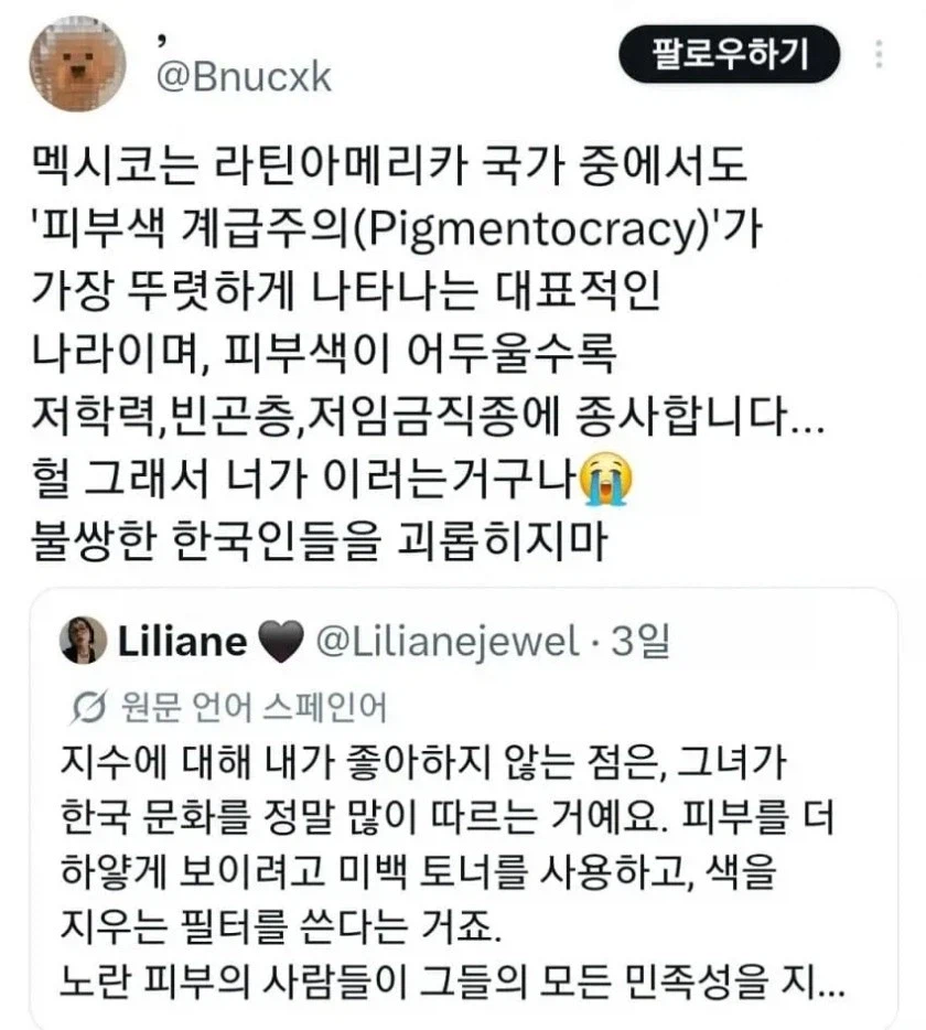한국인 피부색에 스트레스 받는 Liliane_4.webp