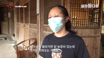 완전 동물복지 중국 닭 사육장_8.webp