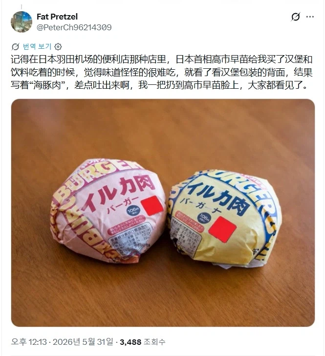 AI사진으로 중국 까려다가 역풍 맞은 일본인_9.webp
