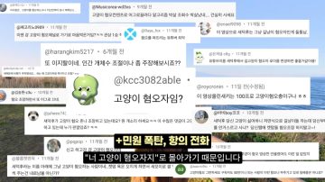 다시 한번 길고양이 문제에 대해 강하게 어필하는 유튜버 (※스압주의)_26.webp
