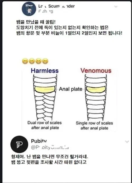 뱀을 만났을때 꿀팁!_1.webp