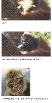 정지. 정지. 움직이면 쏜다._3.webp