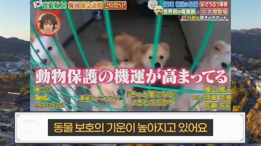 한국의 국책에 감탄하고 부러워한 일본인_11.webp