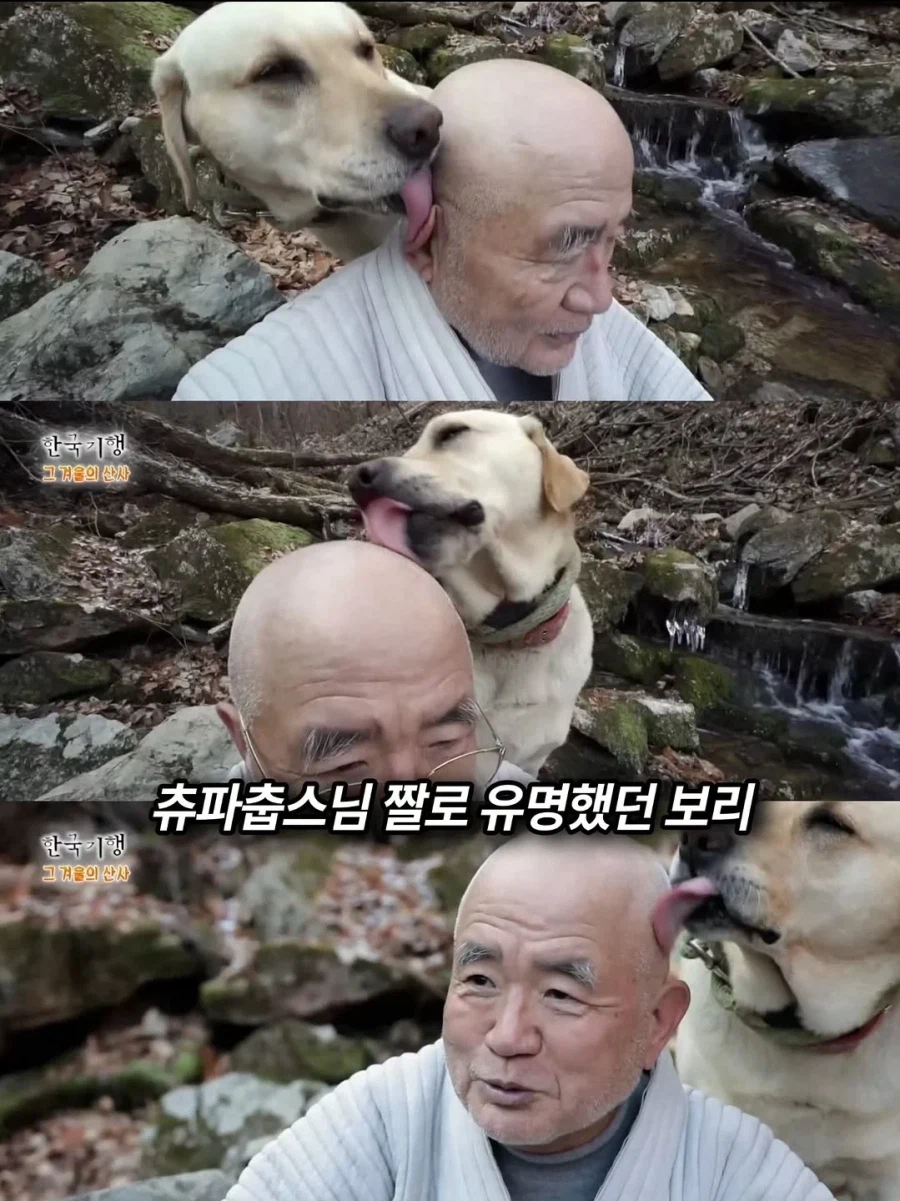 스님 머리 핥는 개로 유명했던 보리를 잊지 못하는 스님_1.webp