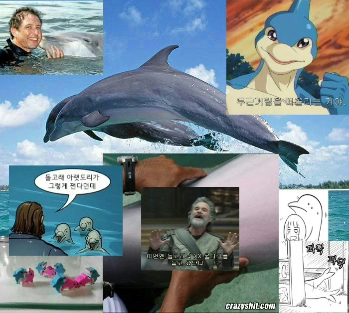 최근에는 유게가 혼란스러워도 나타나지 않더라_1.webp