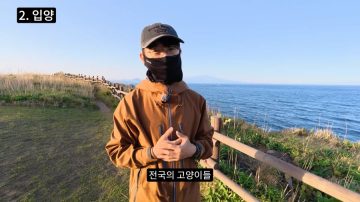 다시 한번 길고양이 문제에 대해 강하게 어필하는 유튜버 (※스압주의)_12.webp