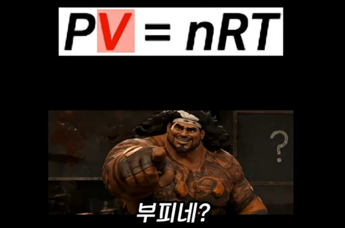 마우가 정신 근황_3.webp