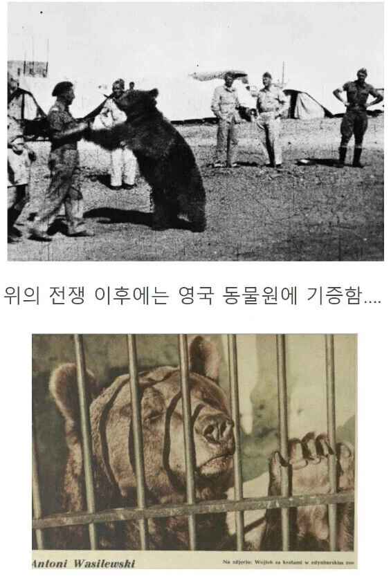 전쟁 후 쓸모 없어진 용사를 감옥으로 보내는 클리셰_3.webp