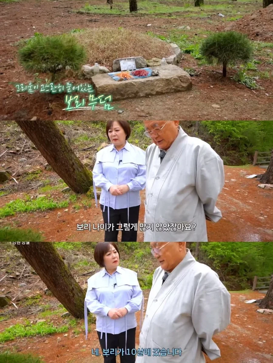 스님 머리 핥는 개로 유명했던 보리를 잊지 못하는 스님_5.webp