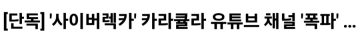 대한민국 사이버렉카 유튜버들 최신 근황.jpg_6.webp